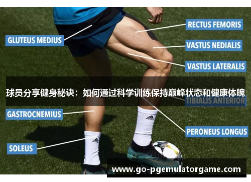 球员分享健身秘诀:如何通过科学训练保持巅峰状态和健康体魄 球员分享健身秘诀:如何通过科学训练保持巅峰状态和健康体魄