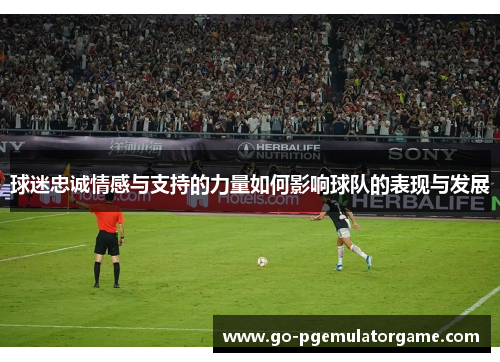 球迷忠诚情感与支持的力量如何影响球队的表现与发展 球迷忠诚情感与支持的力量如何影响球队的表现与发展