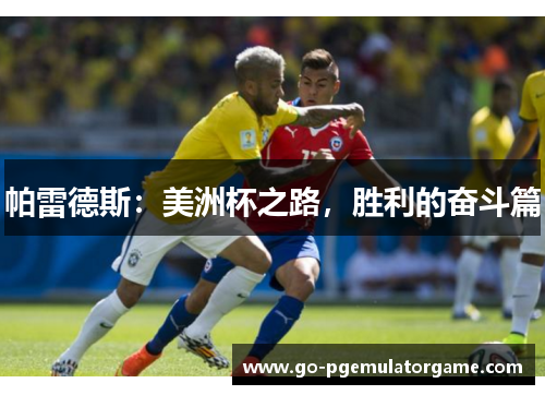 帕雷德斯:美洲杯之路,胜利的奋斗篇 帕雷德斯:美洲杯之路,胜利的奋斗篇
