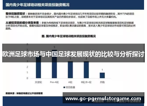 欧洲足球市场与中国足球发展现状的比较与分析探讨