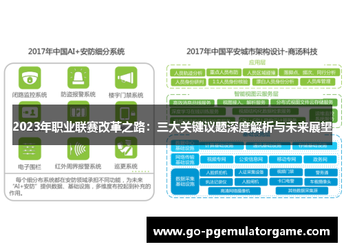 2023年职业联赛改革之路：三大关键议题深度解析与未来展望