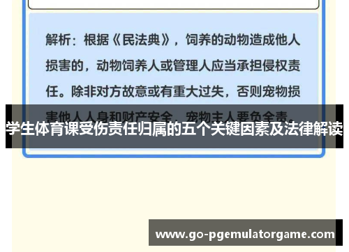 学生体育课受伤责任归属的五个关键因素及法律解读 学生体育课受伤责任归属的五个关键因素及法律解读