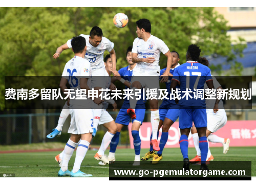 费南多留队无望申花未来引援及战术调整新规划