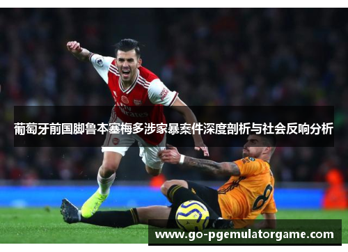 葡萄牙前国脚鲁本塞梅多涉家暴案件深度剖析与社会反响分析