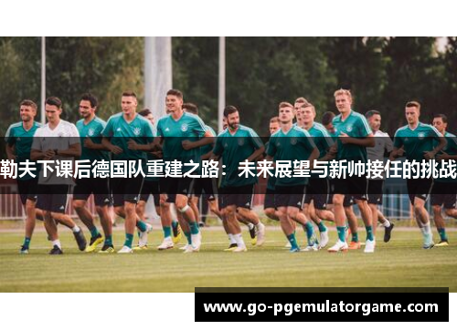勒夫下课后德国队重建之路：未来展望与新帅接任的挑战