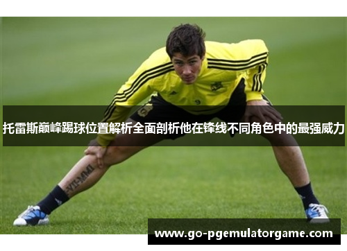 托雷斯巅峰踢球位置解析全面剖析他在锋线不同角色中的最强威力