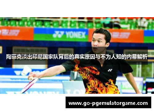 陶菲克淡出印尼国家队背后的真实原因与不为人知的内幕解析