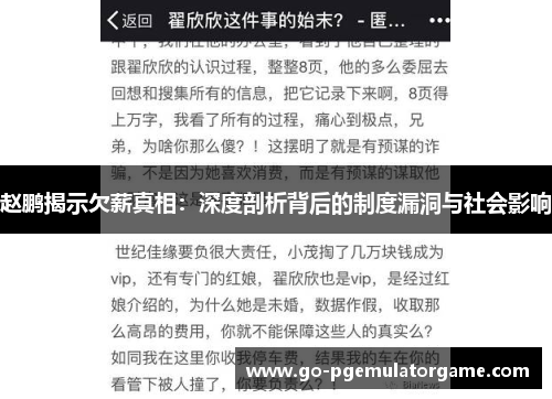 赵鹏揭示欠薪真相：深度剖析背后的制度漏洞与社会影响