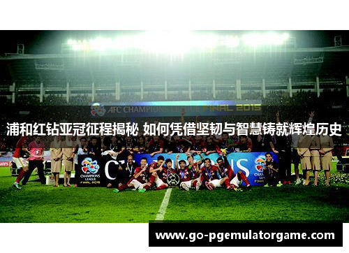 浦和红钻亚冠征程揭秘 如何凭借坚韧与智慧铸就辉煌历史