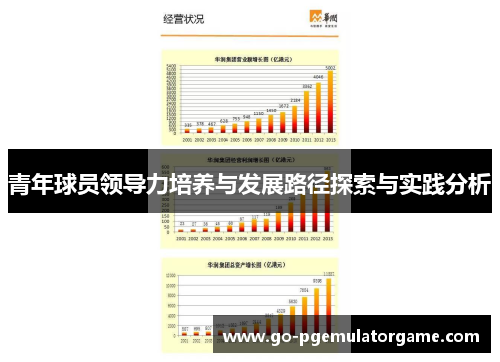 青年球员领导力培养与发展路径探索与实践分析 青年球员领导力培养与发展路径探索与实践分析