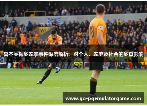鲁本塞梅多家暴事件深度解析:对个人、家庭及社会的多重影响 鲁本塞梅多家暴事件深度解析:对个人、家庭及社会的多重影响