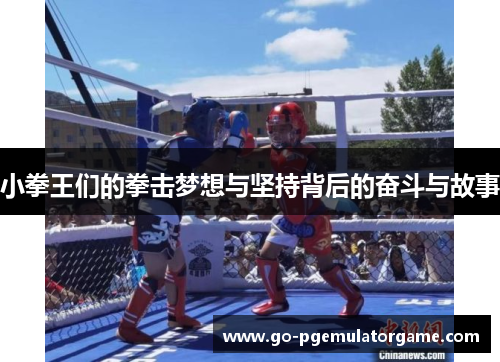 小拳王们的拳击梦想与坚持背后的奋斗与故事 小拳王们的拳击梦想与坚持背后的奋斗与故事