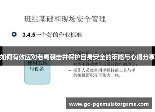 如何有效应对老鹰袭击并保护自身安全的策略与心得分享 如何有效应对老鹰袭击并保护自身安全的策略与心得分享
