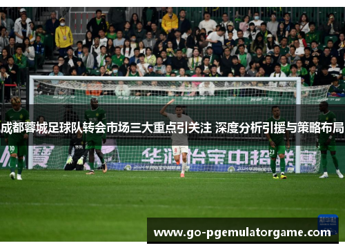 成都蓉城足球队转会市场三大重点引关注 深度分析引援与策略布局 成都蓉城足球队转会市场三大重点引关注 深度分析引援与策略布局